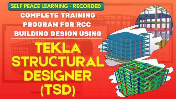 Complete Recorded Training Program for RCC Building Design - TEKLA ...